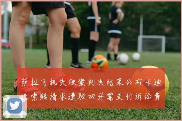 萨拉飞机失联案判决结果公布卡迪夫索赔请求遭驳回并需支付诉讼费